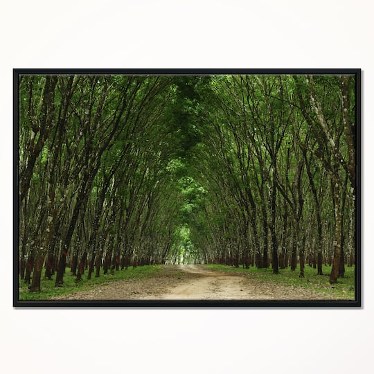 Designart - Pathway in Thick Green Forest